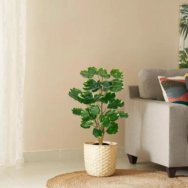 Kunstplant in zwarte pot, 68 cm hoog, kunstmatige Aralia Balfour boom, kunstmatige Aralia Polyscias Fabian plant, kunstboom, potplant voor thuis, kantoor, woonkamer, decoratie