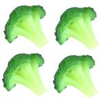 16 STK Simulierter Blumenkohl Gefälschte Gemüsespielzeuge Simulierter Grüner Brokkoli Realistische Brokkoli-Requisiten Lebensechtes Gemüse Künstliches Gemüse Brokkoli PVC Gre