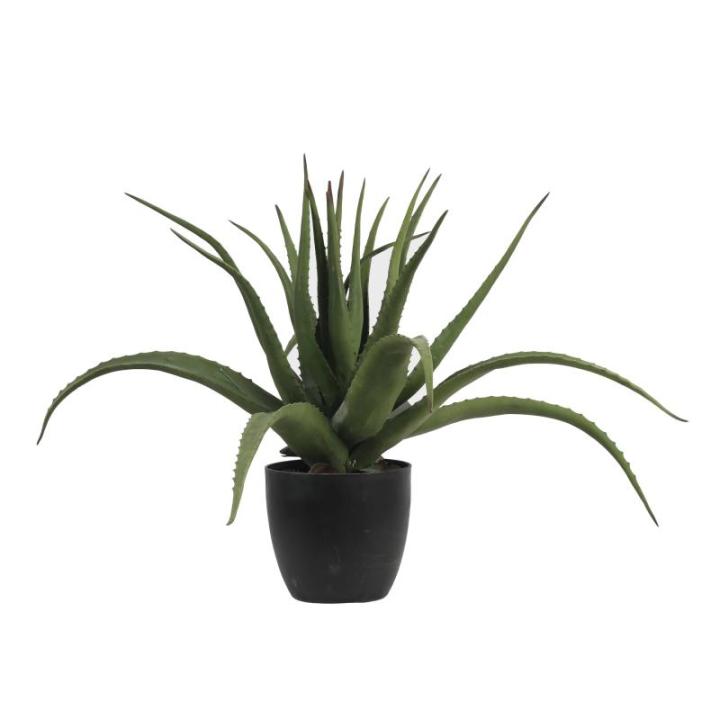 Aloë vera-plant, kunstboom, kunstplant, decoratie, in zwarte pot, zeer realistisch, groen, 55 cm - MN-KP-2219