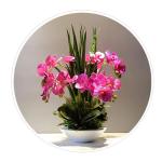 Kunstblumen Künstliche Pflanzen, Orchideen-Blumen-Arrangement für Hotel-Heimdekoration, PU-Kunstpflanzen, 7 Zweige, Phalaenopsis-Blumen für jeden Anlass