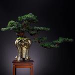 Künstlicher Bonsai-Baum Künstlicher Bonsai-Baum for den Innenbereich, groß, grün, Simulation Willkommenskiefer, Bonsai-Baum, Wohnzimmer, Büro, Desktop-Dekoration, künstliche 