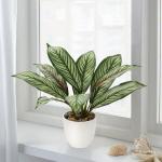 Künstliche Calathea Zimmerpflanze Kunstpflanze Buschig mit 8 gefärbten Blättern im Kunststofftopf, Höhe 33cm, Grün-Rot