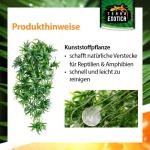 Kunstplant cannabis/hennep, hangplant voor terraria, als verstopplaats voor je terrarium, The Wind Claw Blaven, wijnstok 30-60 cm (medium 40 cm)