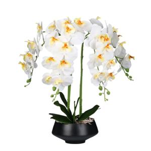 Kunstblumen Zen-Kunstblumen, Phalaenopsis-Arrangement mit Keramiktopf, Orchideen-Bonsai für Tischdekoration im Wohnzimmer für jeden Anlass