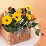 Kunstzonnebloemen, 20 stuks, zijden , gele bloemen, herfstbloemen voor bloemstuk, bruiloftsboeket, tafeldecoratie, thuis, tuin, feest, herfstdecoratie