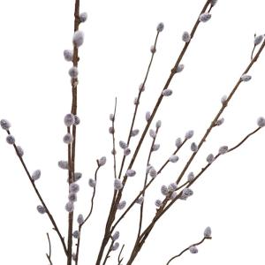 Künstliche Weidenkätzchenzweige, 3 Stück, realistische 40-Zoll-Weidenkätzchen, DIY, dekorative Weidenkätzchenzweige für Vasen, Hochzeitsfotografie-Requisite, künstliche Pfla