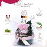 Eeuwige roos in glas met rozengeur, handgemaakt, roze, echte roos in geschenkdoos, cadeau voor vrouwen, mama, geconserveerde bloem voor Kerstmis, Valentijnsdag, Moederdag, decorati