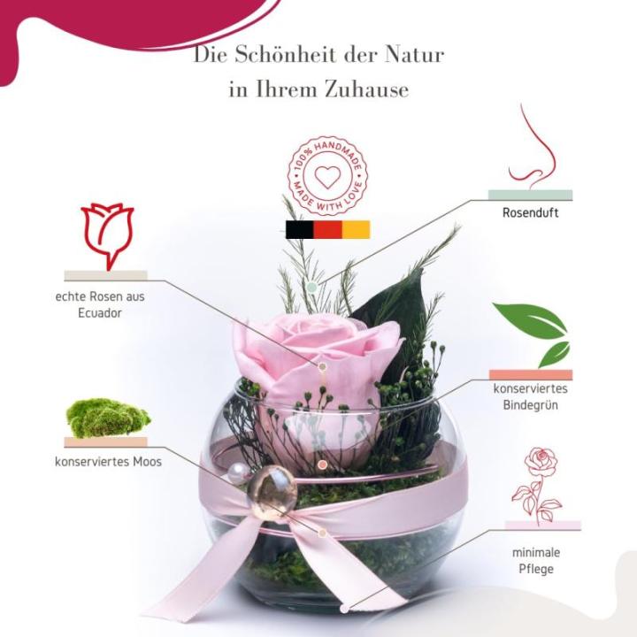 Eeuwige roos in glas met rozengeur, handgemaakt, roze, echte roos in geschenkdoos, cadeau voor vrouwen, mama, geconserveerde bloem voor Kerstmis, Valentijnsdag, Moederdag, decorati