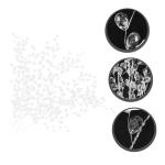 1 Satz Perlenblumen Brauthaarrebe Künstlicher Hochzeitsstrauß Perlen-Kits Hochzeitssachen Künstliche Blüten Hochzeitsdeko Kristallknospenzweige Hochzeitszubehör Acryl Weiß 10