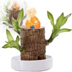 Mini Brasilien Lucky Wood - Hydroponische brasilianische Glücksholz-Tischpflanzen, Miniatur-Bambuspflanze für den Innenbereich, lebende Feng Shui-Dekoration, einfaches Wachstum (