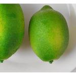 Kunstgroene citroen/limoen, 6 stuks - levensecht plastic fruit, plastic fruit, kunstfruit, fruit, decoratie, etalage, huishouden, keuken, hotel, groene citroen, limoen, 6 stuks