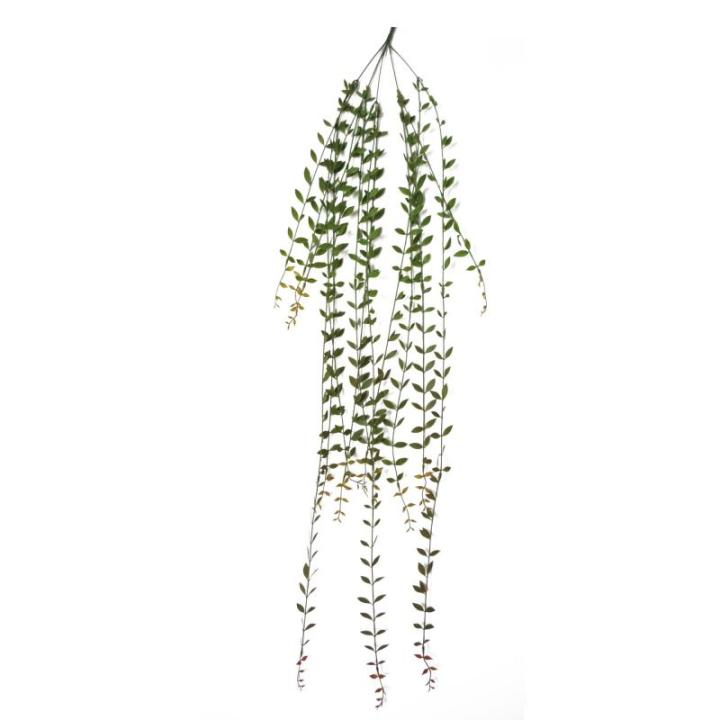 Ontwerp kunstmatige hangende varenplanten
