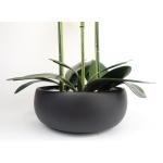 Realistische künstliche Orchideenpflanzen, vollständig getopft