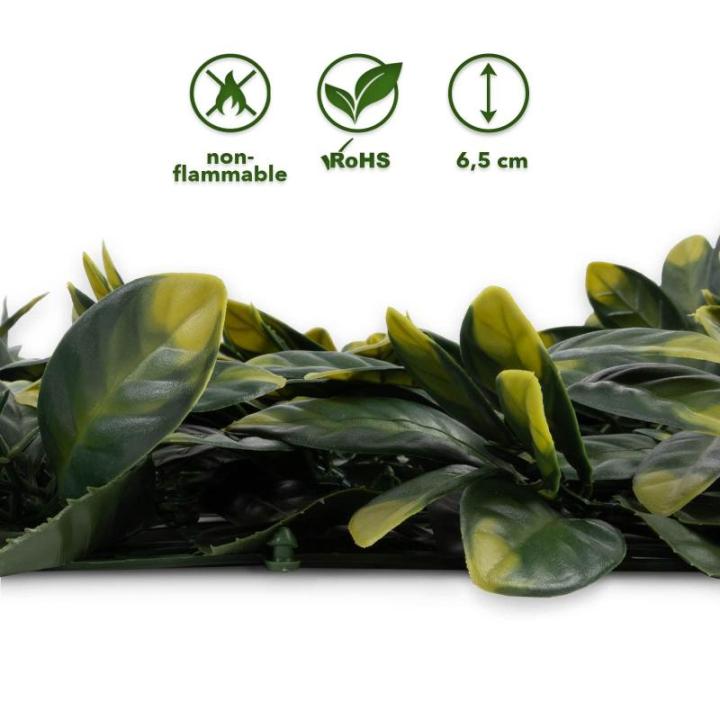 Plantenwand, , wandplanten, 50 x 50 cm, decoratie voor muur/balkon/tuin, laurier