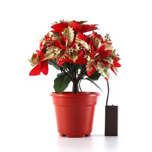 Verlichte kerststerren, kunstkerstbloemen, verlichte rood-gouden kerststerplanten in potten, kunstkerststerren van zijde, (B)