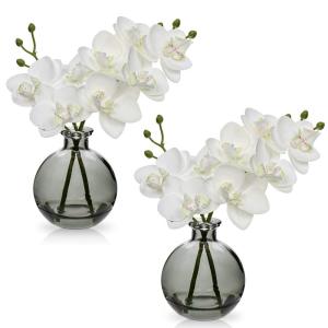 2 stuks witte kunstorchideeën met zwarte glazen vaas, kunstplant decoratie orchideeën kunstbloemen in vaas met Real Touch bloemen, namaak-orchideeën, kunstmatige bonsai voor hot