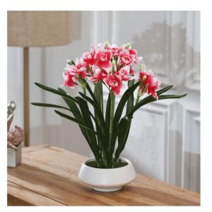 Kunstblumen Simulations-Fälschungsblume, künstliche Bonsai-Pflanzen mit Keramiktopf, Narzissen-Blumenarrangements für Hochzeitsfeiern zu Hause für jeden Anlass