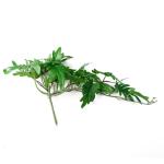 Ontwerp kunstmatige hangende planten