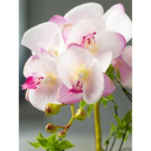 Kunstblumen Künstliches Blumen-Set, goldene Keramikvase mit künstlicher Schmetterlings-Orchidee, Arrangements für den Esstisch für Hochzeitsfeiern für jeden Anlass