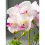 Kunstblumen Künstliches Blumen-Set, goldene Keramikvase mit künstlicher Schmetterlings-Orchidee, Arrangements für den Esstisch für Hochzeitsfeiern für jeden Anlass