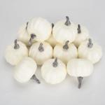 12 stuks pompoenen herfstdecoratie pompoenen decoratieve pompoenen herfstdecoratie herfstdecoraties kunstpompoenen voor herfst Thanksgiving Halloween feestdecoratie thuis boerderij