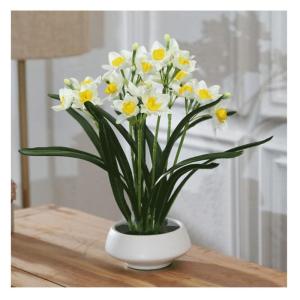 Kunstblumen Simulations-Fälschungsblume, künstliche Bonsai-Pflanzen mit Keramiktopf, Narzissen-Blumenarrangements für Hochzeitsfeiern zu Hause für jeden Anlass