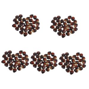 5 Sätze Schaumkastanie Schaumfruchtmodell Gefälschte Früchte Prop Künstliche Kastaniendekorationen Heimtextilien Basteln Nüsse Heimdekoration Falsche Nüsse Coffee 30 Stück *