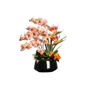 Kunstblumen Künstliche Schmetterlingsorchidee – Seiden-Phalaenopsis mit Keramikvase für Hochzeits-, Heim- und Partydekoration – elegant für jeden Anlass