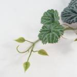 Ontwerp UK Realistische Kunstmatige Bladplant met Pot