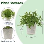 Kunstplant mini kunstplant eucalyptus rozemarijn kruiden in cementpot decoratie badkamer bureau keuken tuin decoratie set van 3