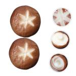 4 Stück Simulierte Shiitake Pilze Multifunktionale Foto Requisite Mini Pilz Dekoration Zubehör Für Den Schreibtisch Künstliche Pilze Interessante Gefälschte Pilze