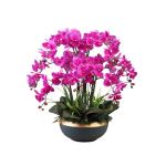 Kunstblumen Künstliche Pflanzen, Orchideen-Blumenarrangement – ​​Elegante Orchideen-Bonsai-Dekoration, künstliche Blumen mit Porzellanvase für jeden Anlass
