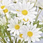 15 bundels kunstmatige madeliefje bloemen 21 inch hoge kleine madeliefje kunstbloemoutdoor UV-bestendige zijden bloemen nep wilde bloemen faux groen struiken planten met - voor bru