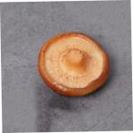 3 Stück Simuliertes Pilzmodell Desktop Fake Pilz Realistischer Shiitake Pilz Künstlicher Pilz Kleiner Pilz Dekor Mini Pilz Dekor Gefälschte Lebensmittel Kleine Foto