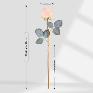 10 stuks kunstrozen, gepoederd, 50 cm in hoog, enkele roos, lange steel, namaakbloem, zijden bloesem, roos, realistische bloem voor tafel, kantoor, feest, bruiloft, woondecoratie (