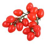 5 Stück Simulierte Kleine Tomaten Kirschen Kunstobst Dekor Realistische Obst Foto Requisite Obst Requisite Obst Fotografie Requisiten Party Dekor Künstliche Früchte