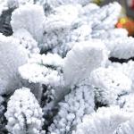 Weihnachtsbaum, Weihnachtsbaum, intensiver Nadel-künstlicher Weihnachtsbaum, Leichter, künstlicher Weihnachtsbaum mit reißverschluss, der Neue