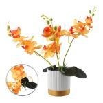 Künstliche Blume, Phalaenopsis-Bonsai-Dekoration, künstliche Orchidee, lebensechte künstliche Blume, Display in Weißgold-Topf (orange)
