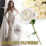 24K Gold Rose Blume vergoldet konservierte Blumen Ornamente Geschenk für Valentinstag