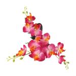 Künstliche Blume Phalaenopsis Bonsai Dekoration Künstliche Orchidee Blume lebensechte künstliche Blume Display in Weißgoldrand Topf (Rose Red)