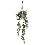 Ontwerp kunstmatige hangende planten