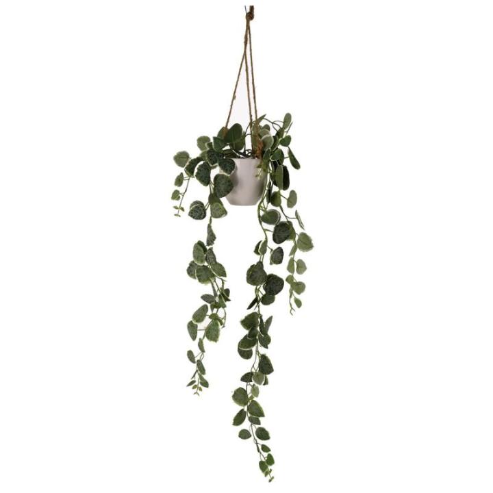 Ontwerp kunstmatige hangende planten
