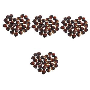4 Sätze Schaumkastanie Lebensechte Kastanien Kastanien-tischstreuung Künstliches Kastanienmodell Lebensechte Nussdekoration Künstliche Nüsse Für Zu Hause Coffee 30 Stück * 4