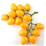 3st Simulierte Kleine Tomaten Gefälschte Kirschtomaten Schmücken Cherry-Tomaten-dekor Hausbedarf Dekorative Kirschtomaten Heimdekoration Obstverzierung Für Zu Hause Yellow Schau