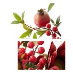 Kunstblumen Lebendige rote Granatapfel-Kunstblumen – Glas, Schaumstoff und Seide, Elegante Dekoration für Esstische, Wohnzimmer, Hochzeiten für jeden Anlass