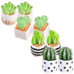 16 stuks kunstmatige cactus tuin miniatuur ornament mini nep plant kleine bloempiguren kleine cactus potplanten mini vetplanten decoratie glas benodigdheden kantoor hars