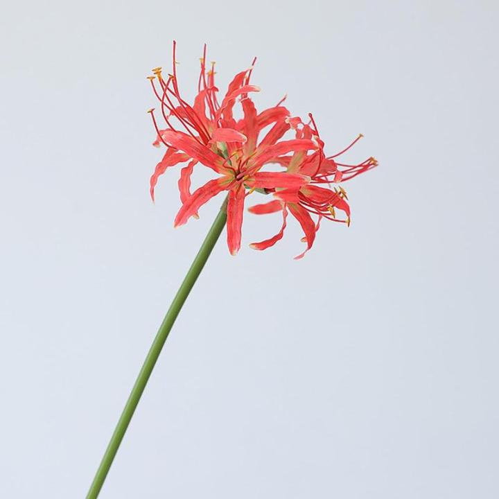 Kunstmatige spinnenlelies, 5 stelen, 66,9 cm, Lycoris Radiata-bloemen, levensechte Lycoris Recoil nep-spinnenplant, zijden boeket decoratie voor thuis (B)