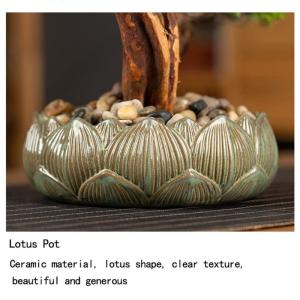 Künstlicher Bonsai-Baum Kleine künstliche Bonsai-Baum-Kunstpflanzen for Zuhause, Büro, Bücherregal, Raumdekoration (Größe 14,96''*7,09''*11,02'') Künstliche Bäume Pflanzen
