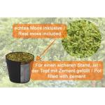 Strelitzie MN-KP-2210 Paradijsvogelbloem, kunstplant, kunstplant, decoratie, in zwarte pot, zeer realistisch, groen, 120 cm