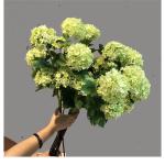 10Pcs 3-Heads/Branch Kunstmatige Hortensia Zijde Bloem Woonkamer Woondecoratie Lange Stam 80cm voor Woonkamer (A, 1pcs)
